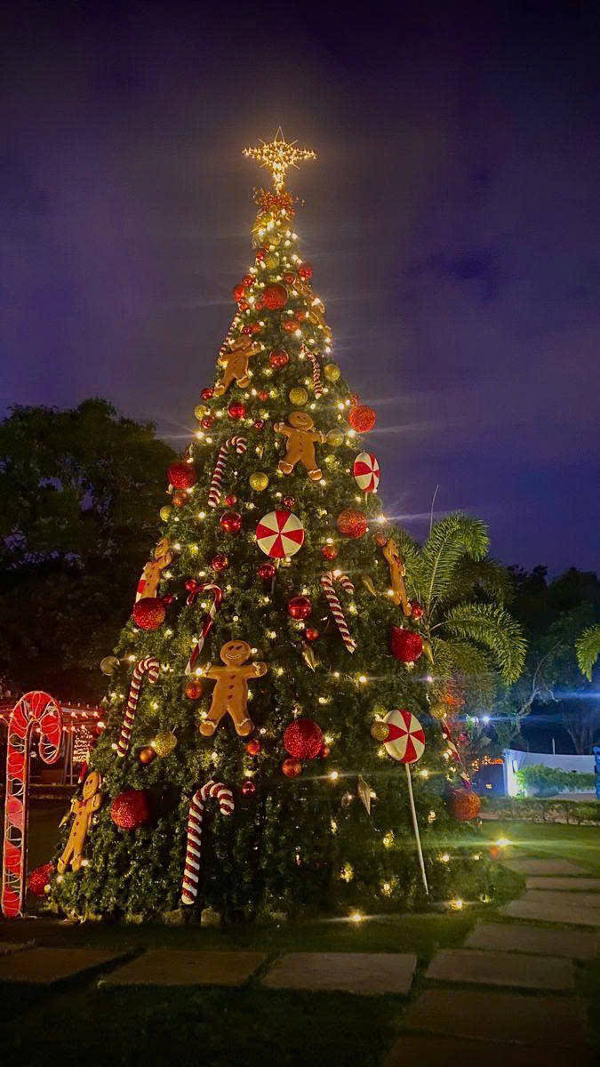  Báo Giá Trang Trí Cây Thông Noel Tại Quận 7. Ảnh 2